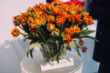 Un ramo de vívidos tulipanes rojos y amarillos de estrella naranja dispuestos en un jarrón transparente, exhibidos en una exposición de tulipanes.