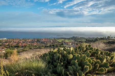 Experimente la belleza de Rancho Palos Verdes, donde una capa marina cubre la costa, creando un paisaje nublado fascinante sobre los escarpados acantilados.