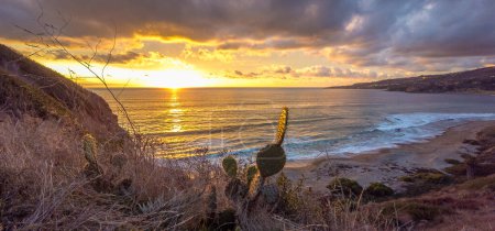 Descubra la serena belleza de Rancho Palos Verdes a lo largo de Catalina Trail y Sunset Trail, donde escarpados acantilados se encuentran con las tranquilizantes olas del océano bajo los cielos dorados y azules de la hora del sur de California..