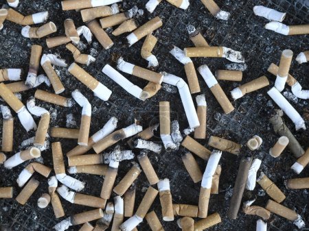 Photo for Bunch of cigarette butts in an ashtray - Royalty Free Image