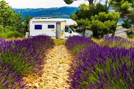 Camper vehicle camping on summer nature at lavender blooming purple field in France. Holidays, vacation with motorhome.