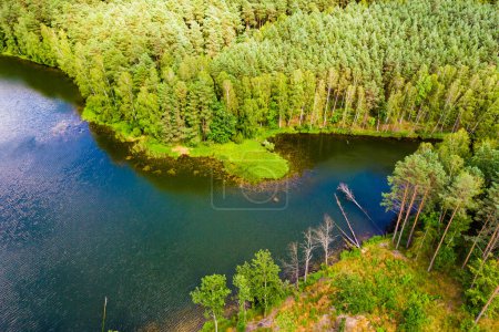 Aerial view. Lake and green forest in Tuchola national park, Poland. Summer landscape in Europe.