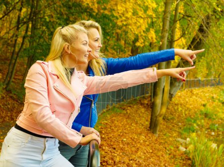Zwei blonde Freundinnen in modischem Outfit, rosa und blauen Ramones-Jacken, spazieren im herbstlichen Park. Entspannung in der Natur