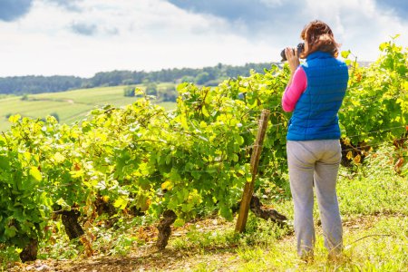 Tourist woman visiting vineyard region, Pommard in Burgundy, Cote de Beaune, Cote d'Or, France. Woman with camera taking travel photo. Trip attraction