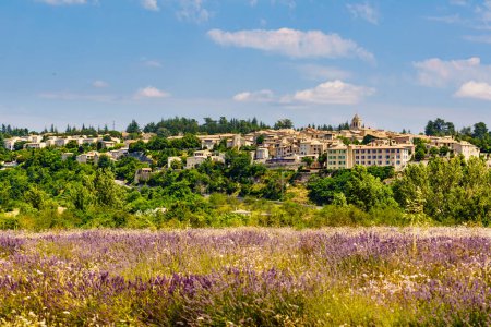 Village de Sault, station thermale dans le département du Vaucluse, Provence en France. Paysage estival avec champ de lavande..