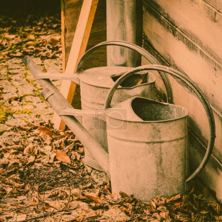 Village detailed objects concept. Two steel made vintage watering cans standing outside in leaves.