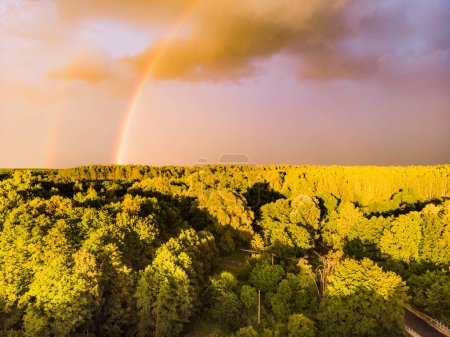 Aerial view. Rainbow over green forest area, evening sunset light. Tuchola national park in Poland. Summer woods landscape in Europe.