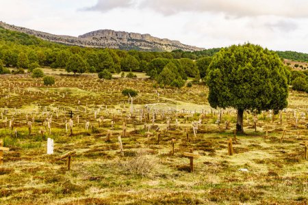 Trauriger Friedhof in Burgos, Spanien. Touristischer Ort, Drehort, wo die letzte Sequenz des Westernfilms Die Guten, die Bösen und die Hässlichen gedreht wurde.