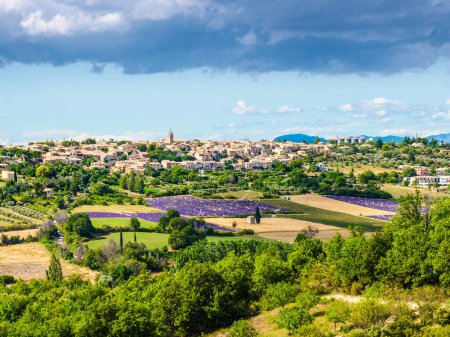 Hilltop Puimoisson village in France. Provence landscape with purple lavender fields. Plateau Valensole, Alpes de Haute Provence.