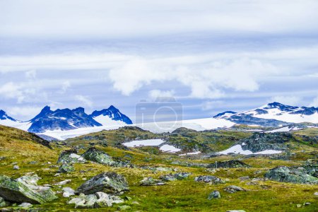 Verano montañas paisaje en Noruega. Ruta turística nacional 55 Sognefjellet.