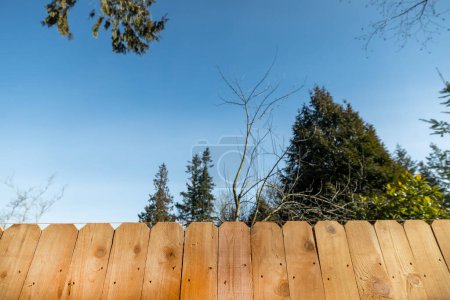 Photo for Wood Pickets on Cedar Fence With Leveling String Above and Blue Sky Title Space For Fencing Building Company - Royalty Free Image