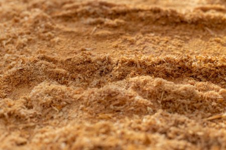 Photo for Sawdust Close-Up- High-Quality Carpentry Texture for Woodworking Enthusiasts and Professionals - Royalty Free Image
