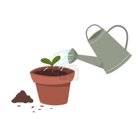 Illustration for Watering a sprout in a pot, seedling vector illustration, spring planting. - Royalty Free Image