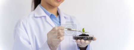 Photo for Ecology woman agronomist flora soil and flower in a pot, a nurse in a lab coat and gloves with a flask in her hand chemical element laboratory analyzes - Royalty Free Image