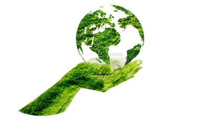 Foto de Globo verde dentro del concepto de protección del medio ambiente y la naturaleza - Imagen libre de derechos