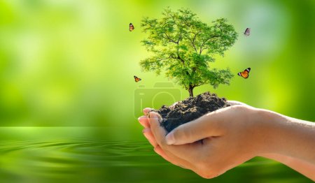Photo for Environment Earth Day In the hands of trees growing seedlings. Bokeh green Background Female hand holding tree on nature field grass Forest conservation concept - Royalty Free Image