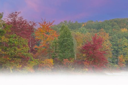 Photo for Foggy autumn landscape at dawn of the shoreline of Hall Lake, Yankee Springs State Park, Michigan, USA - Royalty Free Image