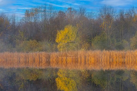 Téléchargez les photos : Paysage automnal du rivage du lac Jackson Hole avec des reflets miroirs en eau calme, Fort Custer State Park, Michigan, États-Unis - en image libre de droit