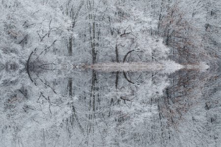 Téléchargez les photos : Paysage hivernal du littoral enneigé du lac Jackson Hole avec des reflets miroirs en eau calme, Fort Custer State Park, Michigan, États-Unis - en image libre de droit