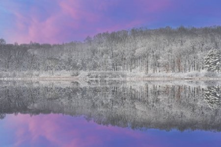Foto de Inter landscape at dawn of the snow flocked shoreline of Deep Lake with mirrored reflections in calm water, Yankee Springs State Park, Michigan, USA - Imagen libre de derechos