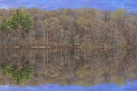 Foto de Paisaje primaveral de la costa de Long Lake con reflejos espejados en aguas tranquilas, Yankee Springs State Park, Michigan, EE.UU. - Imagen libre de derechos
