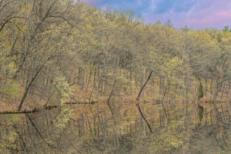 Téléchargez les photos : Paysage printanier à l'aube du rivage du lac Eagle avec des reflets miroirs en eau calme, Fort Custer State Park, Michigan, États-Unis - en image libre de droit