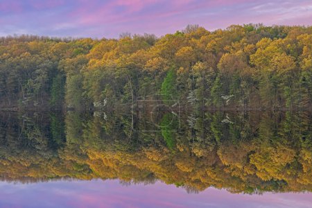 Téléchargez les photos : Paysage printanier à l'aube du rivage du lac Eagle avec des reflets miroirs en eau calme et cornouillers en fleurs, Fort Custer State Park, Michigan, États-Unis - en image libre de droit
