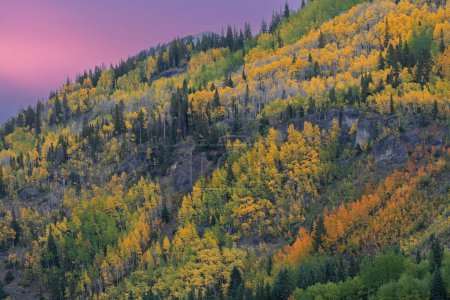 Photo for Autumn landscape at dawn of the shoreline of Crystal Lake, San Juan Mountains, Colorado, US - Royalty Free Image