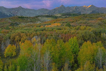 Téléchargez les photos : Paysage d'automne au lever du soleil, Dallas Divide, Montagnes San Juan, Colorado, USA - en image libre de droit