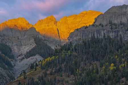 Téléchargez les photos : Paysage d'automne au lever du soleil des monts San Juan, Ouray, Colorado, USA - en image libre de droit
