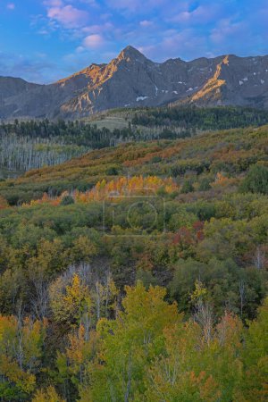 Téléchargez les photos : Paysage d'automne à l'aube, Dallas Divide, Montagnes San Juan, Colorado, USA - en image libre de droit
