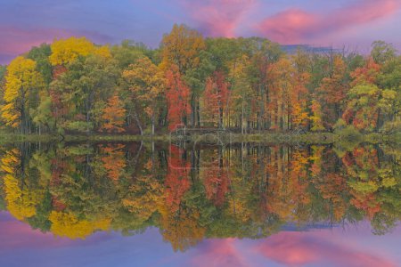 Téléchargez les photos : Paysage automnal à l'aube du rivage du lac Pond Lily avec des reflets miroirs en eau calme, Michigan, USA - en image libre de droit
