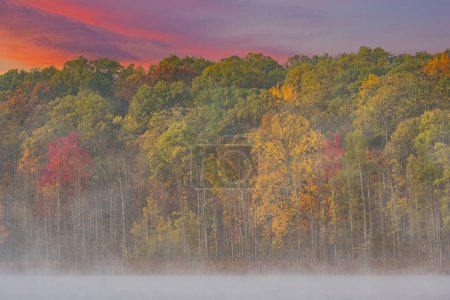 Téléchargez les photos : Paysage d'automne brumeux à l'aube du littoral du lac Deep, Yankee Springs State Park, Michigan, États-Unis - en image libre de droit