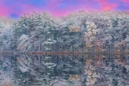Téléchargez les photos : Paysage automnal à l'aube du littoral du lac Long afflué de neige et avec des reflets miroirs en eau calme, Yankee Springs State Park, Michigan, États-Unis - en image libre de droit