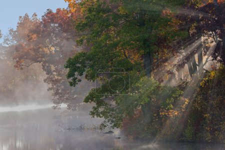 Téléchargez les photos : Foggy paysage automnal de la rive du lac Eagle avec des rayons de soleil, Fort Custer State Park, Michigan, États-Unis - en image libre de droit