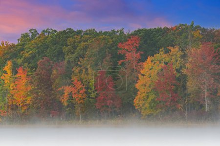 Téléchargez les photos : Paysage d'automne brumeux à l'aube du littoral du lac Deep, Yankee Springs State Park, Michigan, États-Unis - en image libre de droit