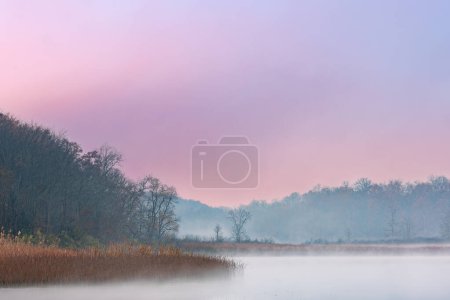Téléchargez les photos : Paysage d'automne brumeux à l'aube du rivage du lac Whitford, Fort Custer State Park, Michigan, États-Unis - en image libre de droit