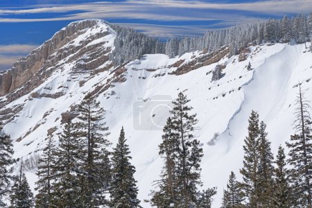 Foto de Paisaje invernal de las Montañas San Juan nevado, Colorado, EE.UU. - Imagen libre de derechos