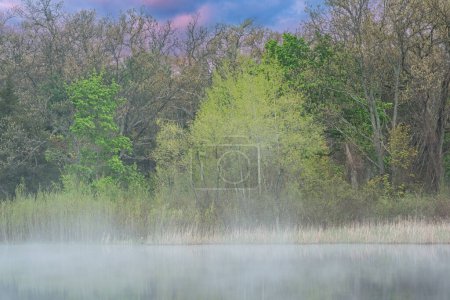 Foto de Paisaje primaveral al amanecer de la costa de Deep Lake en niebla con reflejos reflejados en aguas tranquilas, Yankee Springs State Park, Michigan, EE.UU. - Imagen libre de derechos
