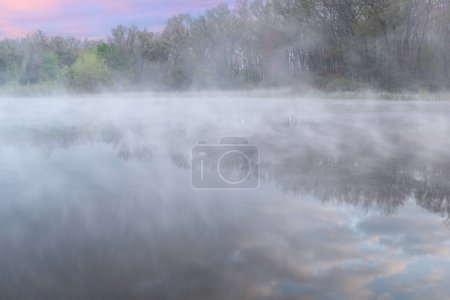 Téléchargez les photos : Paysage printanier à l'aube du littoral du lac Deep dans le brouillard avec des reflets miroirs en eau calme, Yankee Springs State Park, Michigan, États-Unis - en image libre de droit
