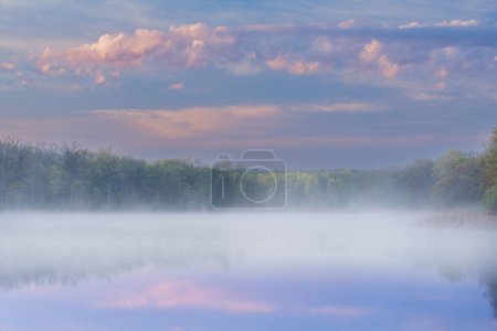 Téléchargez les photos : Paysage printanier brumeux à l'aube du littoral du lac Whitford, Fort Custer State Park, Michigan, États-Unis - en image libre de droit