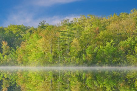 Téléchargez les photos : Paysage printanier brumeux au lever du soleil du rivage du lac Long avec héron et reflets en eau calme, Yankee Springs State Park, Michigan, États-Unis - en image libre de droit