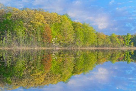 Téléchargez les photos : Paysage printanier au lever du soleil sur le rivage du lac Deep et avec des reflets en eau calme, Yankee Springs State Park, Michigan, États-Unis - en image libre de droit