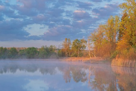 Téléchargez les photos : Paysage printanier brumeux au lever du soleil du rivage du lac Whitford, Fort Custer State Park, Michigan, États-Unis - en image libre de droit