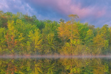 Téléchargez les photos : Paysage printanier brumeux au lever du soleil sur le rivage du lac Long et avec des reflets en eau calme, Yankee Springs State Park, Michigan, États-Unis - en image libre de droit