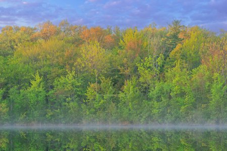 Spring landscape at dawn of the shoreline of Long Lake with fog and with mirrored reflections in calm water, Yankee Springs State Park, Michigan, USA