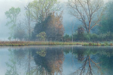 Photo for Foggy spring landscape at dawn of the shoreline of Deep Lake with mirrored reflections in calm water, Yankee Springs State Park, Michigan, USA - Royalty Free Image