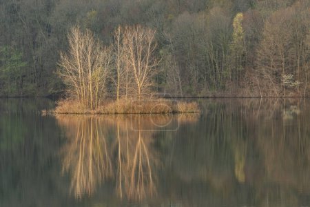 Téléchargez les photos : Paysage printanier au lever du soleil du rivage du lac West Twin avec des reflets miroirs en eau calme, Kalamazoo, Michigan, États-Unis - en image libre de droit