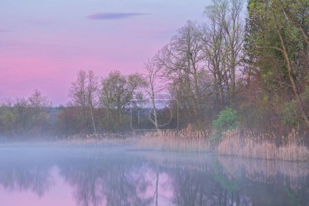 Spring landscape at dawn of the shoreline of Whitford Lake with mirrored reflections in calm water, Fort Custer State Park, Michigan, USA