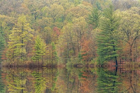 Téléchargez les photos : Paysage printanier du rivage du lac Hall avec des reflets miroirs en eau calme, Yankee Springs State Park, Michigan, États-Unis - en image libre de droit